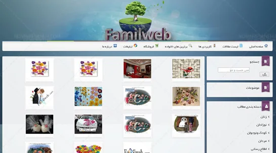 تصویر 3 - پروژه طراحی پرتال سبک زندگی و جامعه مجازی فامیل وب (Familweb)